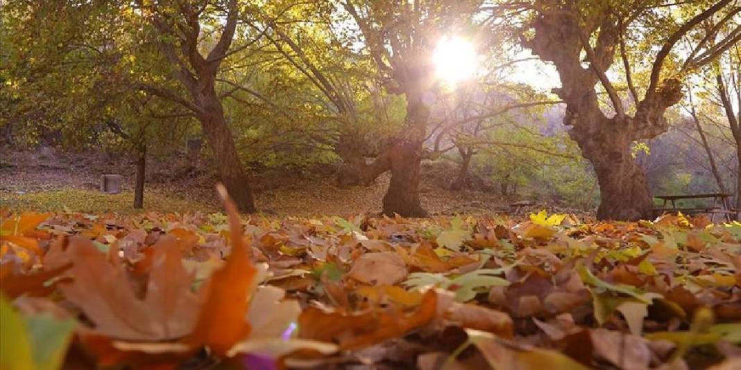 Sıcaklar pastırma olmaktan çıktı! Kışı bekleyenlerin gözü yaşlı: Bugün güneyde termometreler 30 dereceyi aşıyor 2